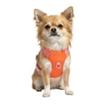 thumbnail image 5 of Oodles Adjusable Dog Walking Harness with Handle, Red, Medium, 5 of 12
