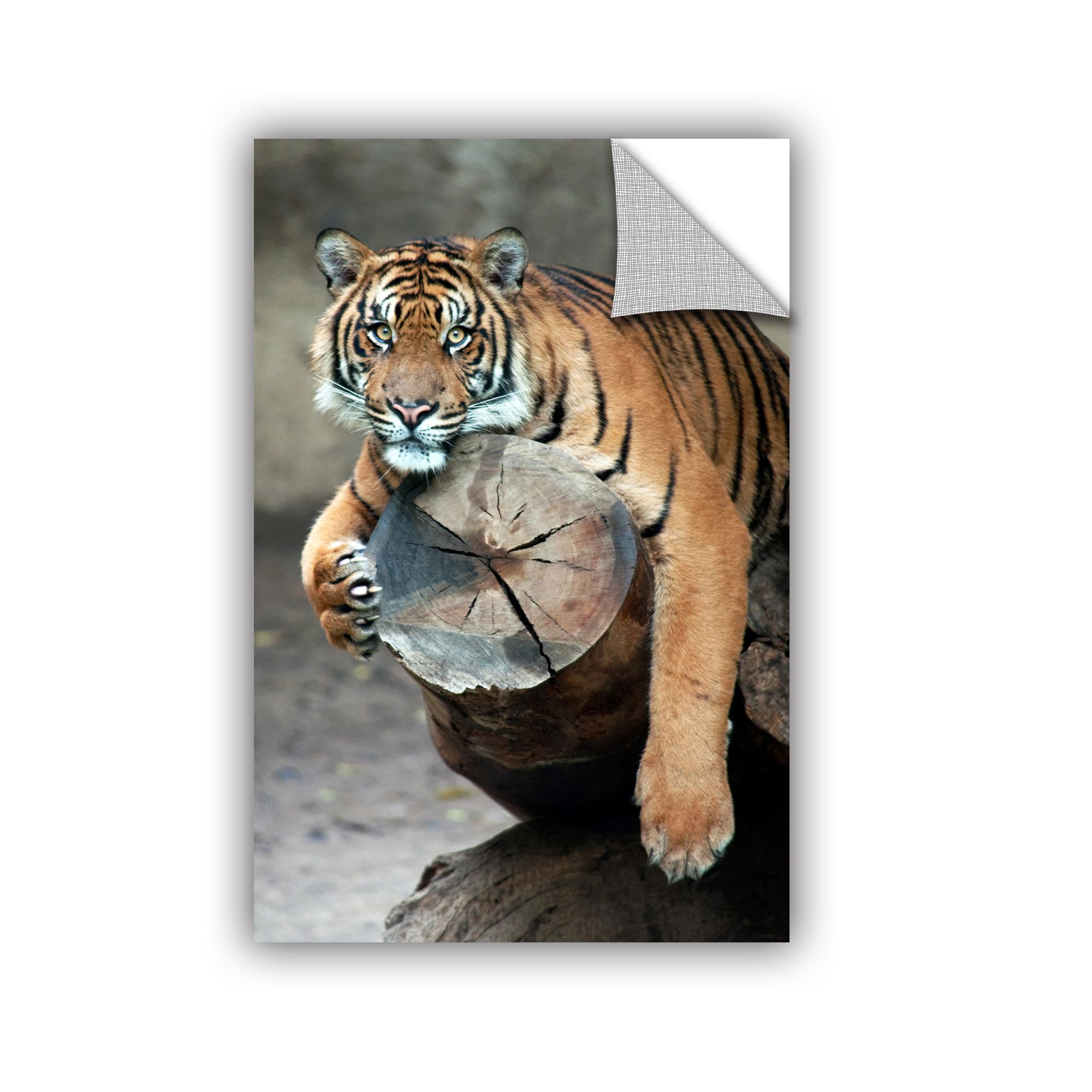 ArtAppealz Dan Holm "On A Limb" Removable Wall Art