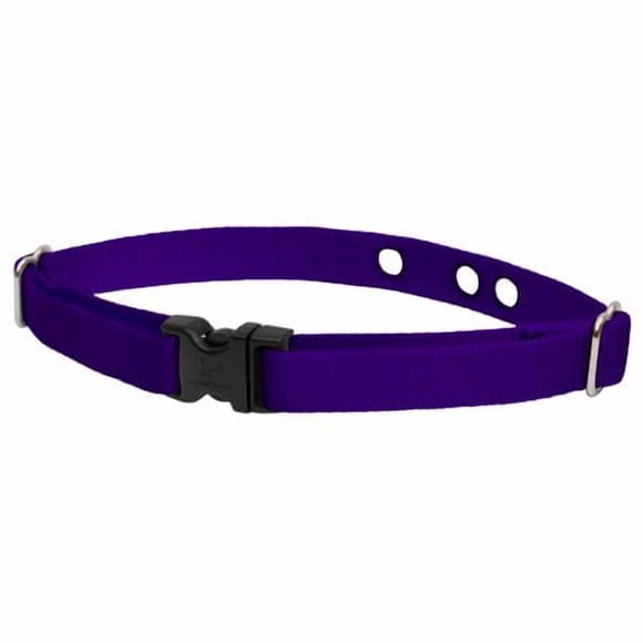 LupinePet Basics Collier de Confinement 3/4 Pouces Violet 16-24 Pouces pour Chiens Moyens et Grands