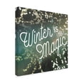 thumbnail image 2 of Trademark Fine Art 'Sparkle Lights II' Canvas Art by Sue Schlabach, 2 of 3