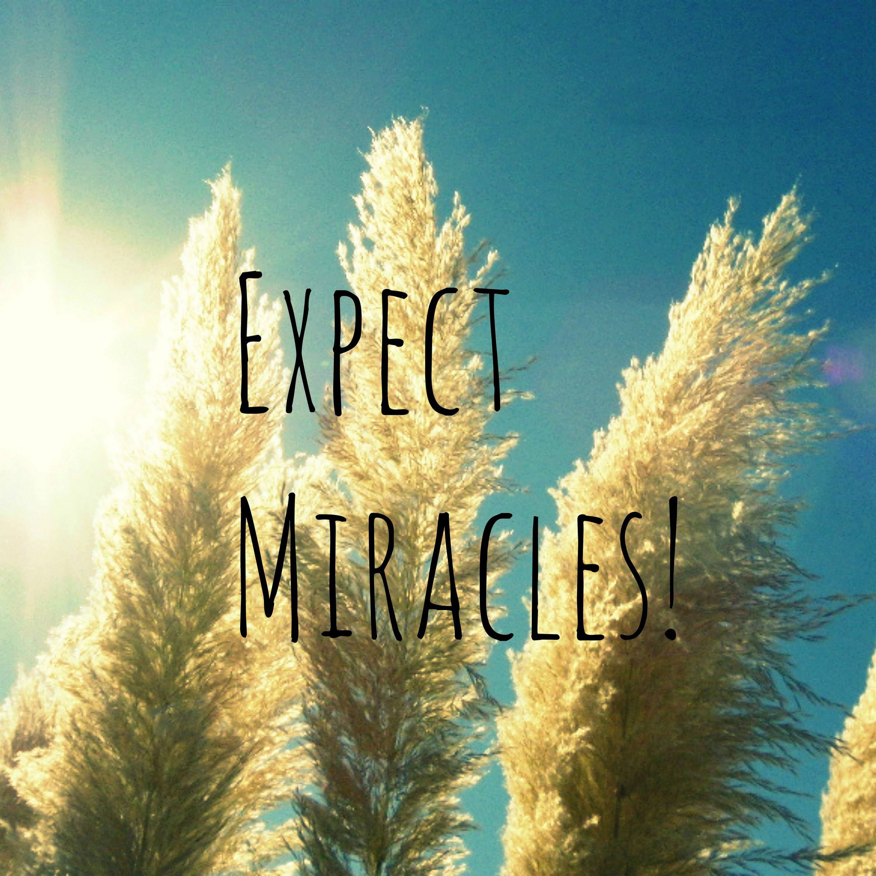 Marmont Hill "Expect Miracles Text" by Robert Dickinson Painting Print on Canvas