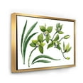 thumbnail image 3 of Green Orchid Flowers On White 20 in x 12 in Framed Painting Canvas Art Print, by Designart, 3 of 5