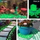 thumbnail image 5 of ZoomSky 200 Piezas Piedras Resplandecientes Azules, Guijarros Luminosos Piedras Fluorescentes para Acuario Jardín Decoración de Fiesta de Cumpleaños Infantil (200 Piezas Piedras Resplandecientes Azul) Ormromra LKX-0788-1, 5 of 8