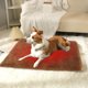 thumbnail image 4 of Dog Kennel Cats Cushion Fall And Winter Warm Dog Cushion Cushion Dog Bed Comfortable Cats Kennel Dog Kennel Pet Supplies Long Hair Velvet Pet Cushion, 4 of 6