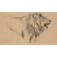 thumbnail image 3 of John Macallan Swan 14x10 Black Modern Framed Museum Art Print Titled - Lion, 3 of 5