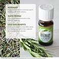 thumbnail image 3 of Healing Solutions 10ml Oils - Rosemary Essential Oil - 0.33 Fluid Ounces, 3 of 6