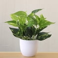 thumbnail image 1 of Artificial Plants Bonsai Flower Foliage Plant Simulation Pot Plants Office Decor, 1 of 4