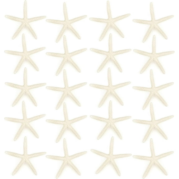 ABCISI 20 PCS Starfish, 2.5" to 4" Natural Seashells Starfish Star Fish Shells Decorations White Starfish Ornaments Perfect for Wedding Beach Theme Party Home Decorations, DIY Crafts, Fish Tank