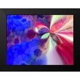 thumbnail image 2 of Harrington, Danielle 24x19 Black Modern Framed Museum Art Print Titled - Flying II, 2 of 5