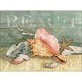 thumbnail image 2 of Paton, Julie 14x12 White Modern Wood Framed Museum Art Print Titled - Beach Shells Still LIfe, 2 of 4