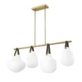 thumbnail image 5 of Z-Lite 4 Light Pendant, 5 of 8