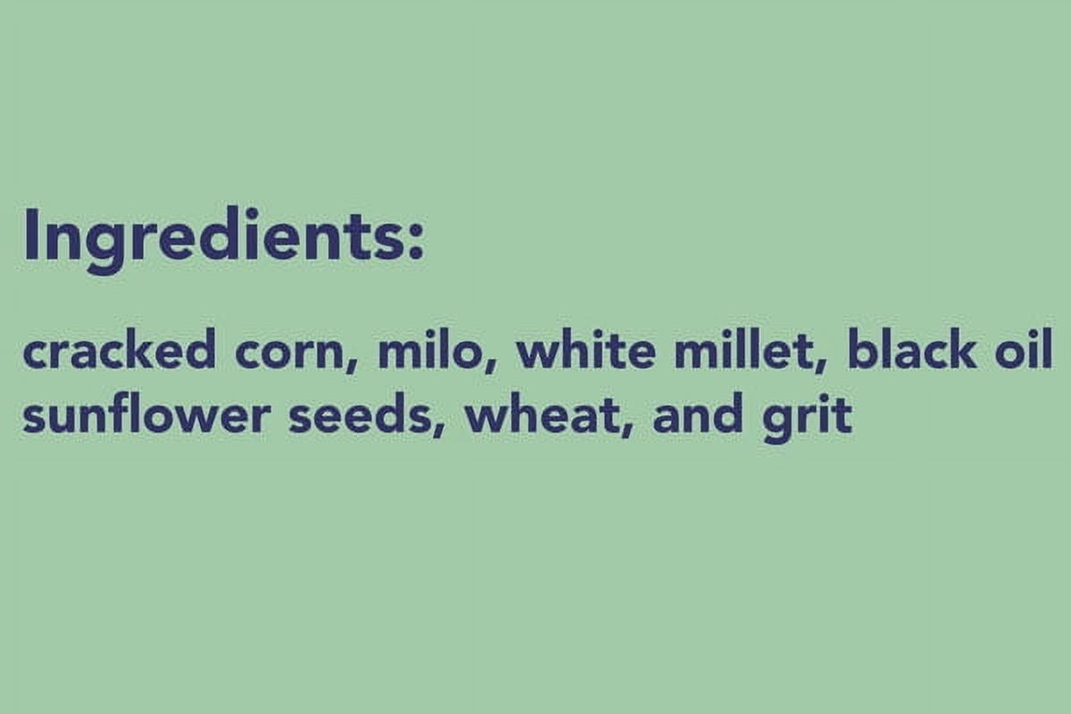 Wild Bird Seed Mix, Economy Blend, 25 lbs.