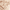 Paper Paile w/Root Beer Float, variant on Joyspun Women’s Embroidery Built Up Lace Bralette, Sizes XS-3XL