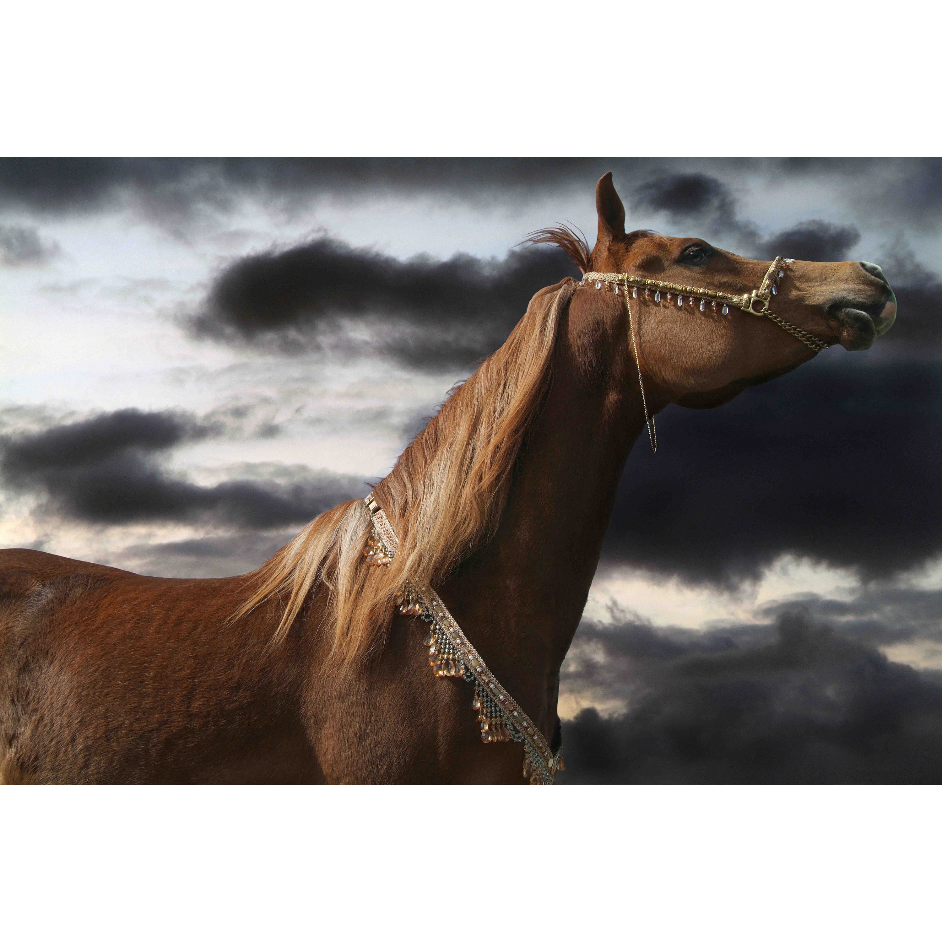 Marmont Hill 'Rehannah' by Maggie Dee Painting Print on Wrapped Canvas