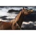 thumbnail image 3 of Marmont Hill "Rehannah" by Maggie Dee Painting Print on Canvas, 3 of 5