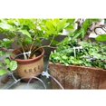 thumbnail image 5 of Kit de riego por goteo para jardín, manguera de 10/20/30M, 4/7mm, sistema de riego de plantas ajustable con válvula reguladora, 5 of 5