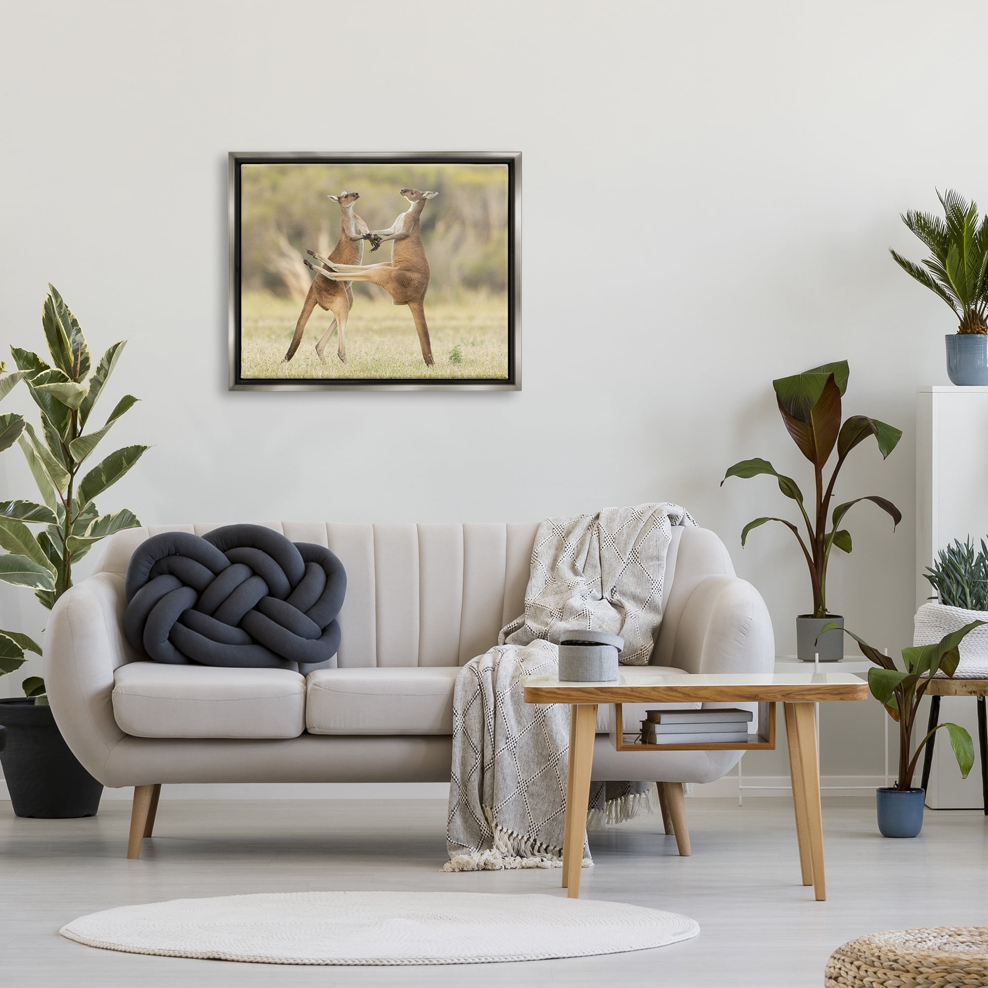Stupell Industries Kangaroo Duo Photography Animals & Insects Photography Gray Floater Framed Canvas Art Print Wall Art, 31 x 25