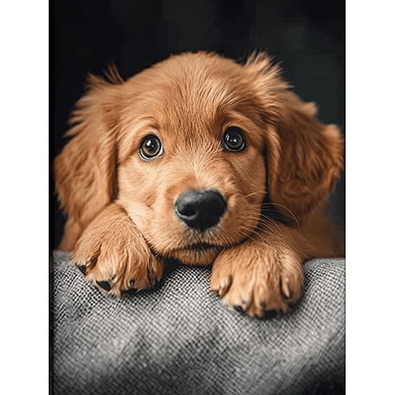 Golden Retriever Puppy Decorative Painting/Canvas Art， Ideal for Living Room， Bedroom， Office， Dining Room， Study Room， Guest Room， Hallway， Entryway， or as a thoughtful gift.