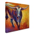 thumbnail image 2 of Trademark Fine Art 'Stepping Out Longhorn' Canvas Art by Marion Rose, 2 of 3