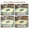thumbnail image 7 of ODIKA 3'x5' Washable Accent Rug Graphic Vintage Men Currency Hundred Motifs Funky Bathroom Designer for Bedside, Nursery Room, Pet Friendly & Non-Shedding, 7 of 7