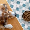 thumbnail image 1 of SussexHome Pets Ultra-Thin Cat and Dog Litter Mat for Litter Box - Washable Soft Natural Cotton Cat and Dog Litter Trapping Mat - Paws-Kind Slip Resistant Litter Catching Mat, 1 of 6