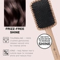 thumbnail image 3 of (2 pack) InfinitiPro by Conair - Hair Brush - Porcupine Paddle HairBrush - Wet Brush Detangling Brush - Soft and Flexible Bristles - Performa Series, 3 of 6