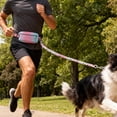 thumbnail image 1 of Adjustable Hands Waist Leash Running Cycling And Training With Favorite Waist Belt Leash Reflective Running Traction Made Of Nylon Retractable Bungee Small Large, 1 of 4