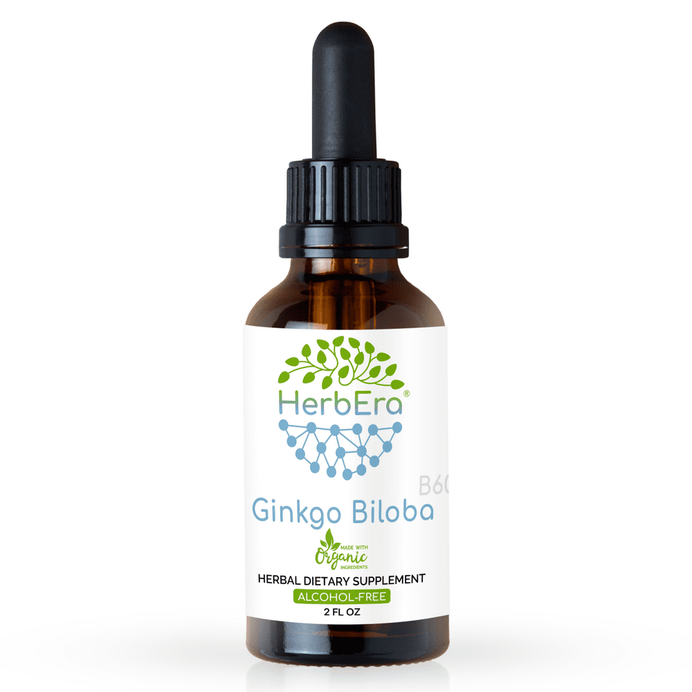 Ginkgo Biloba AlcoholFREE Herbal Extract Tincture, SuperConcentrated