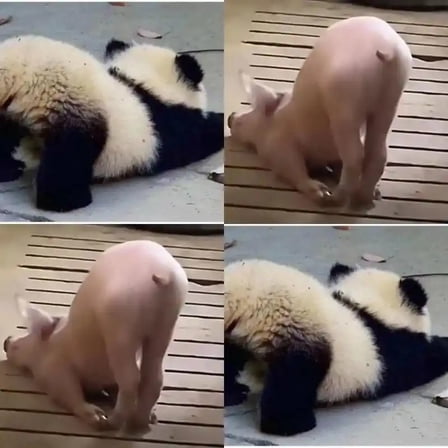 Fuel Filters 68157291AA   68436631AA for a 2019-2024 Ram Truck 6.7L