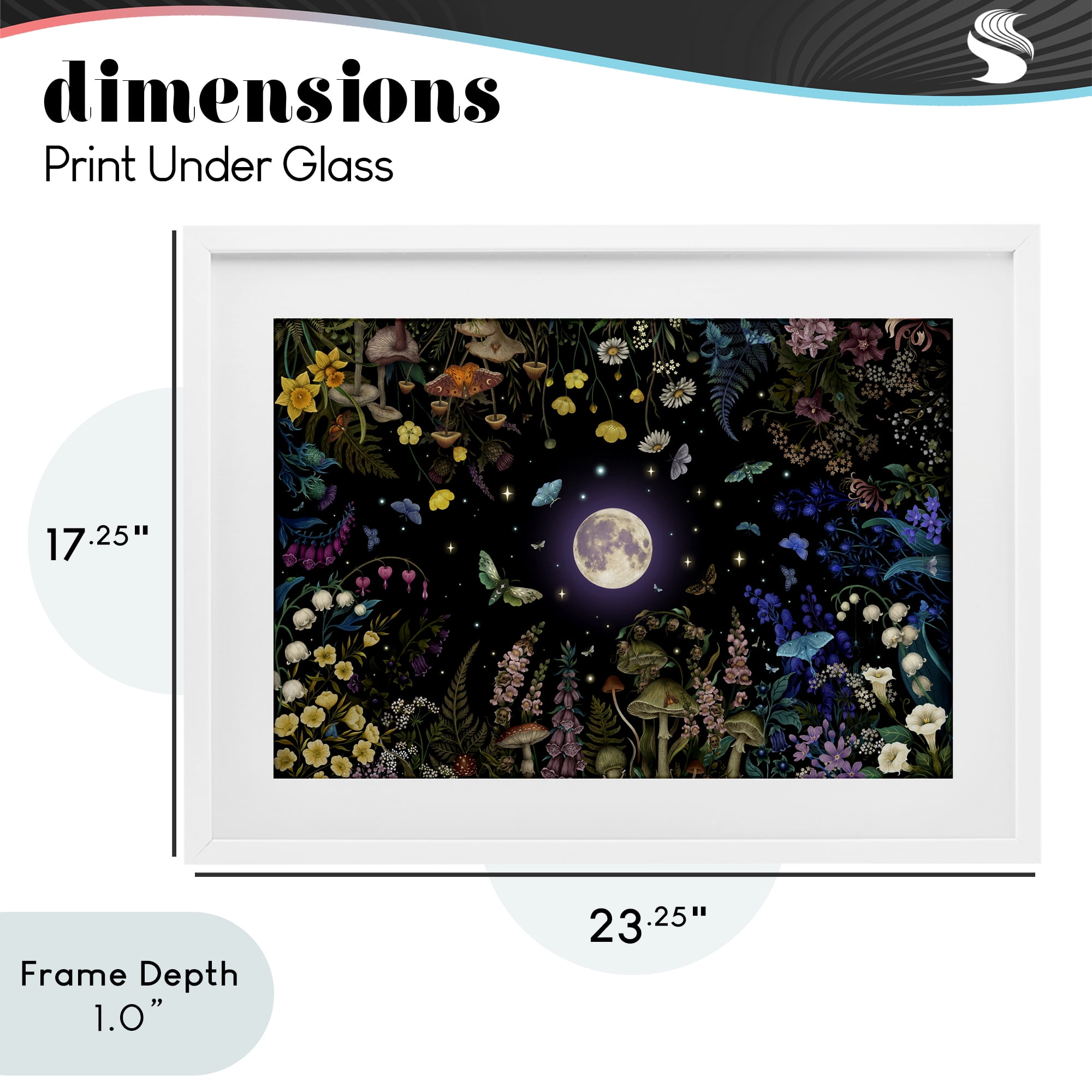 Stupell Industries Night Garden with Moth White Framed Print Under Glass, design by Episodic Drawings