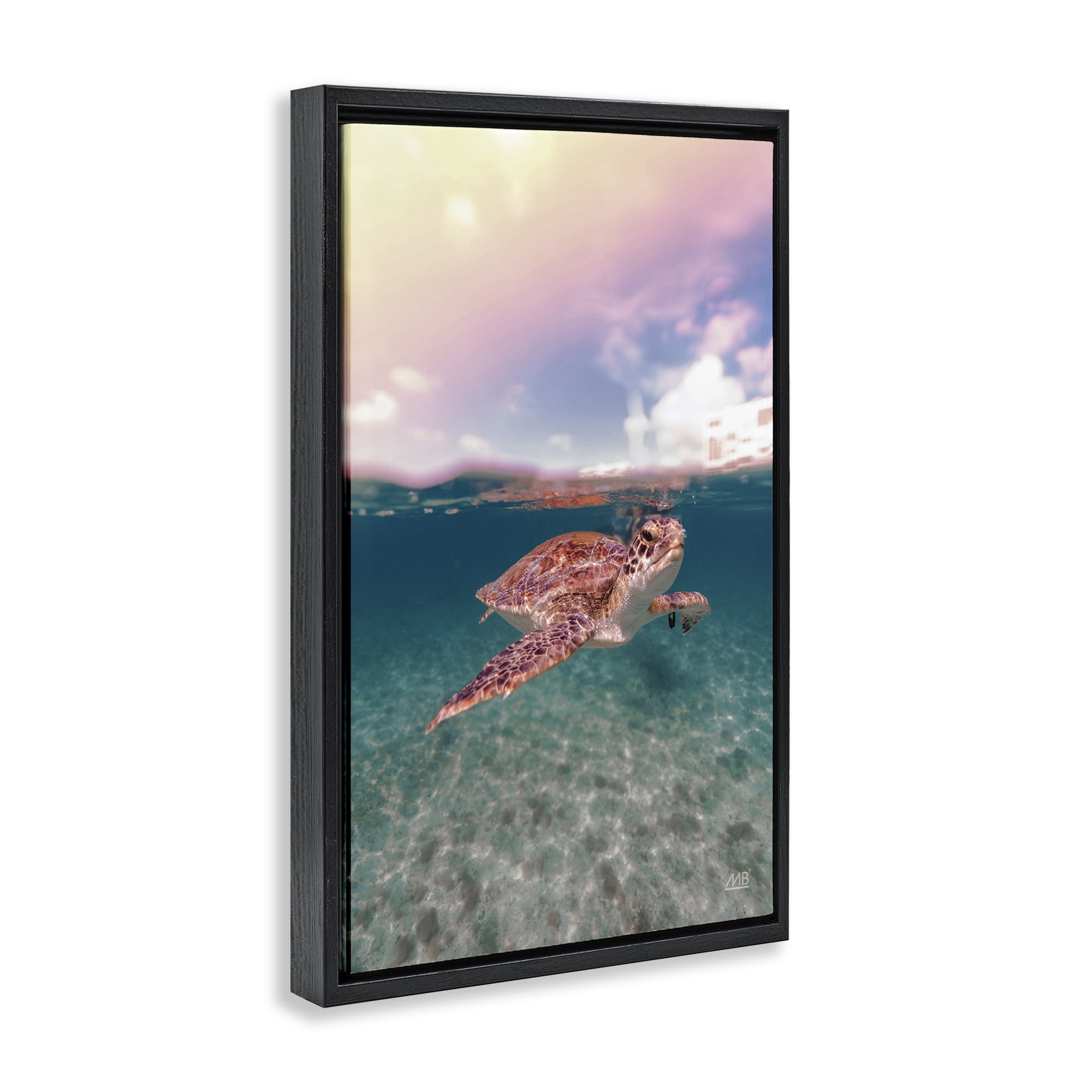 Stupell Industries Above & Below Sea Turtle Animals Photography Black Floater Framed Canvas Art Print Wall Art, 17 x 25
