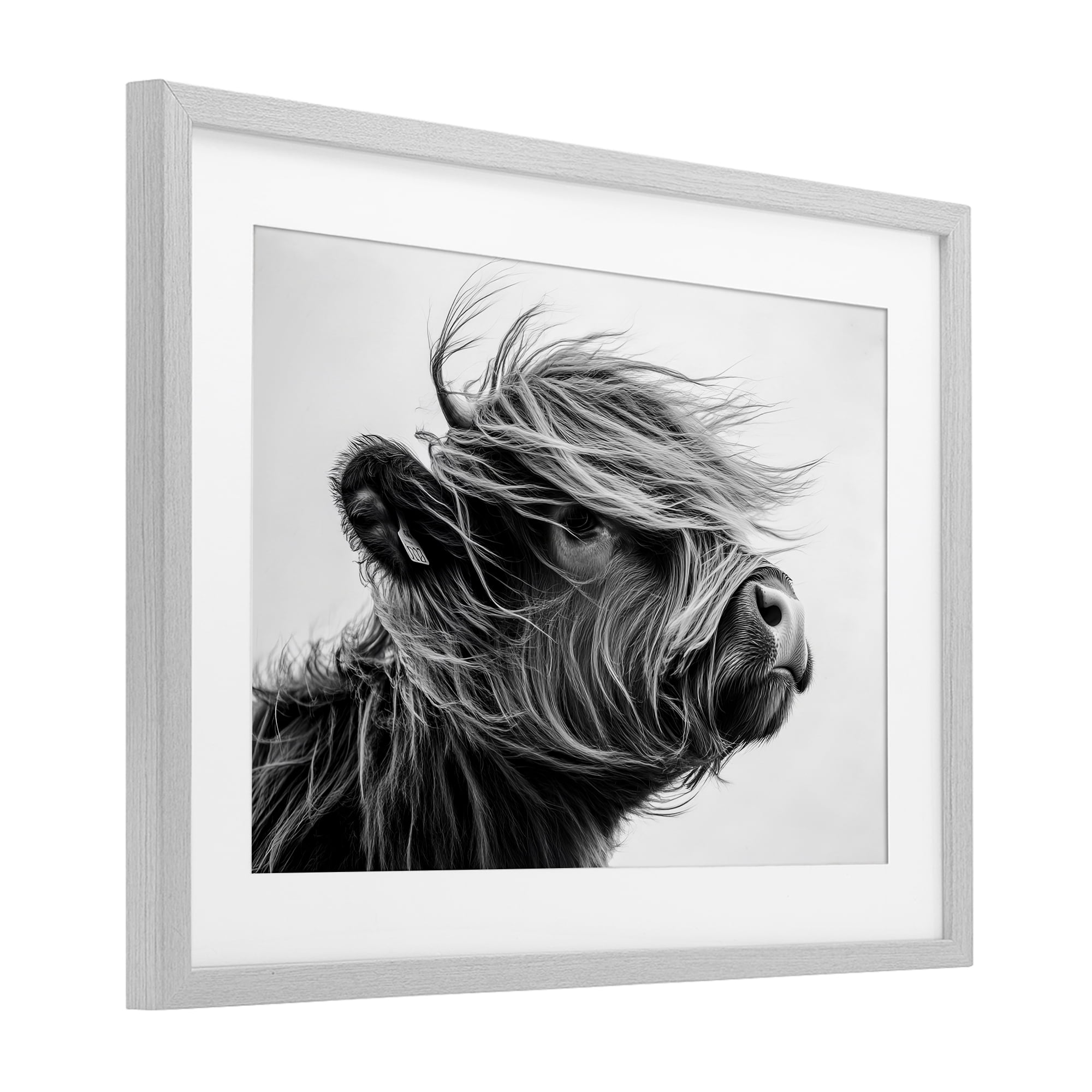 Stupell Industries Handsome Highland Portrait Gray Framed Print Under Glass, design by Tina LeCour