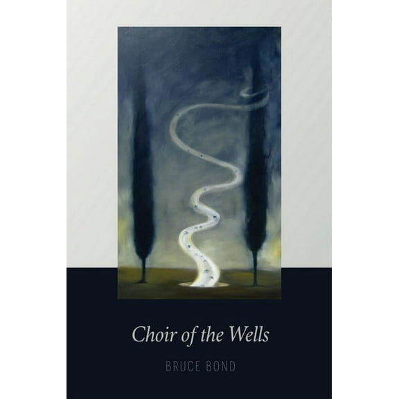 Choir of the Wells (Paperback)