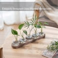 thumbnail image 3 of Propagation Station Glass Vases Decoration: 5 Plants Terrarium with White Washed Wooden Tray for Living Room Office, 3 of 5