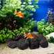 thumbnail image 3 of Roca de lava negra para acuario, piedras volcánicas naturales para paisajismo y plantas, rocas decorativas para jardín - Bolsa grande de rocas, 3 of 8