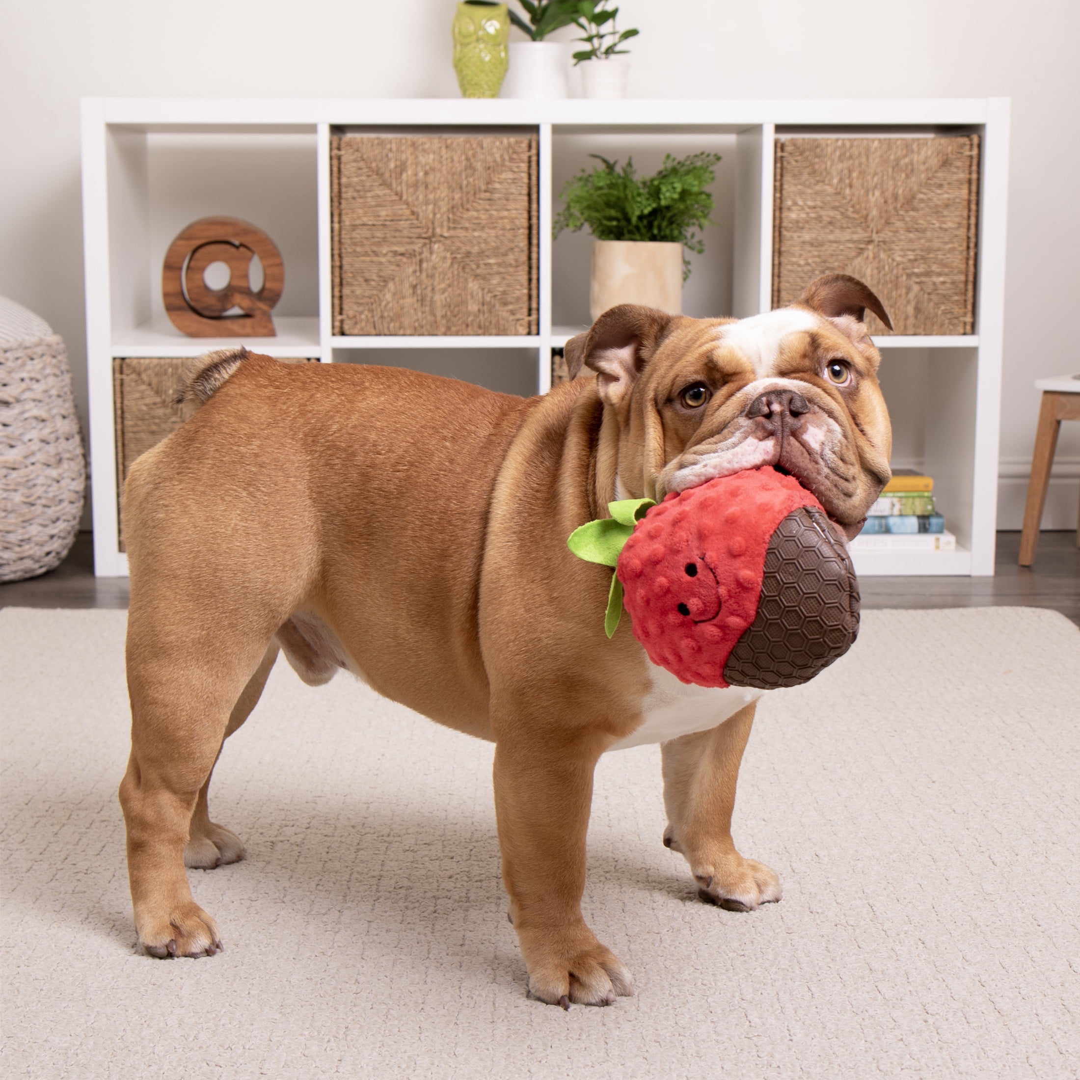 TrustyPup Tough 'N Fun Cocoa Berry Squeaky TPR & Plush Durable Dog Toy, Red Large