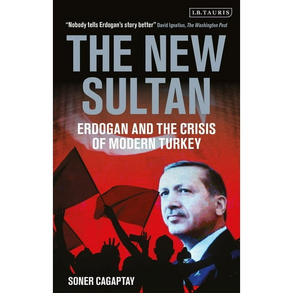 The New Sultan: Erdogan and the Crisis of Modern Turkey, (Paperback)