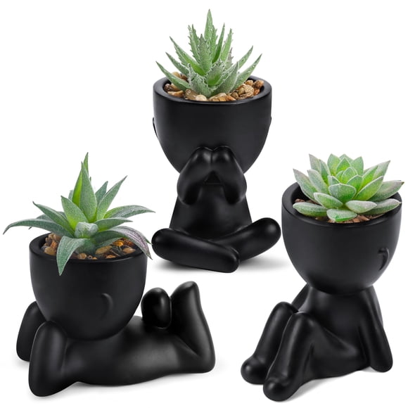 Der Rose 3 Pcs Fausses Plantes Petites Succulentes Artificielles, Jolies Fausses Plantes pour Maison Salle de Bain Chambre Salon Bureau Bureau Étagère Décor Noir Intérieur Esthétique