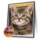 thumbnail image 2 of Wdftyju Kit de pintura de diamantes 5D, arte de mosaico de diamantes cuadrados completos de animales DIY Wdftyju 6yz5fy9kg7ym3fy0D06, 2 of 9
