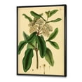 thumbnail image 3 of Designart 'Ancient Plant Life I' Traditional Framed Canvas Wall Art Print, 3 of 5