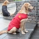 thumbnail image 2 of Winter Waterproof Dog Vest Coats Jackets,warm Reversible Outwear For Small Medium Large Dogs,red,chest:19",back Length:14, 2 of 3