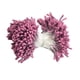 thumbnail image 2 of 1.5-2mm Doble Cabezas Mini Flor Estambre Pistilo Decoración de la Sunnimix Estambre doble cabeza estambre, 2 of 8