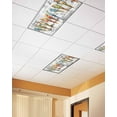 thumbnail image 2 of Fluorescent Light Covers for Ceiling Lights 3 Pack, Colorful Birds Magnetic Ceiling Light Covers 2x4ft for Classroom Office School, Vintage Rustic Envelope Postmark Overhead Drop Ceiling Light Shade, 2 of 7