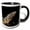 Black/White, variant on 3drose, Iguana in the Sun Puerto Vallarta Mexico, 11oz Two-tone Green Mug