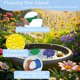 thumbnail image 5 of 【 Smart Garden 】 Bebedero flotante para flores de exterior | Comedero automático para pájaros | Decoración de jardín, 5 of 7