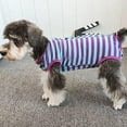 thumbnail image 5 of SUCS Dog Recovery Suit Post Surgery Shirt for Puppy, Wound Protective Clothes for Little Animals Dogs Cat, 5 of 7