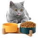 thumbnail image 4 of Cuenco doble de cerámica para gatos, cuenco de agua para alimentación de mascotas, productos para gatos, suministros de alimentos para mascotas y amarillo verde jinwen Comedero para mascotas, 4 of 8