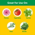 thumbnail image 6 of Miracle-Gro Garden Feeder, Sprayer Includes Plant Food, 6 of 10