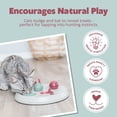 thumbnail image 2 of TRIXIE Flip Board Strategy Game for Cats, Puzzle Toy, Treat Dispenser, Interactive Play, Red, 2 of 7