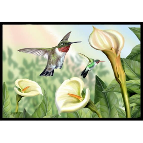 Lily And The Hummingbirds Indoor & Outdoor Mat, 24 x 36 in.